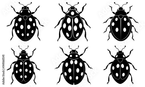Ladybug Silhouette vector illustration