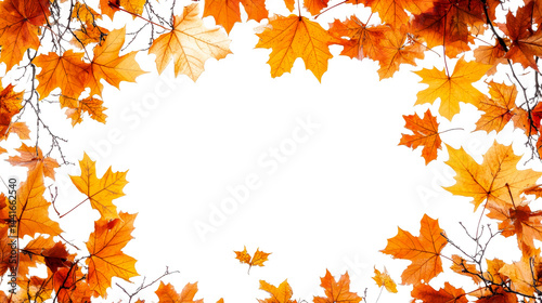 Autumnal maple foliage frame, cut out transparent