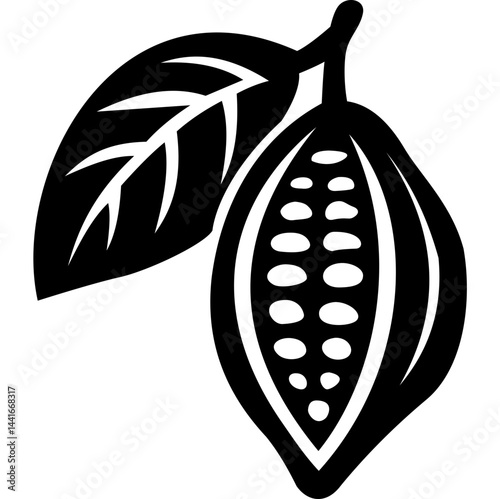 Cocoa Beans Sketch