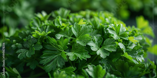 Wallpaper Mural Parsley Background. Generated AI Torontodigital.ca
