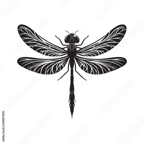 dragonfly vector illustration