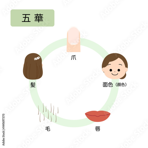 東洋医学　人体の生理病理の五行分類　五華