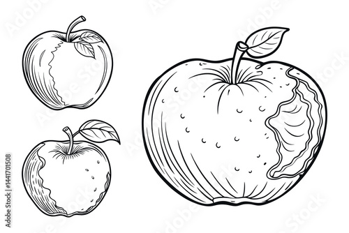 Apple Variety Outlines Depicting Freshness, Consumption and Black and White Simplicity