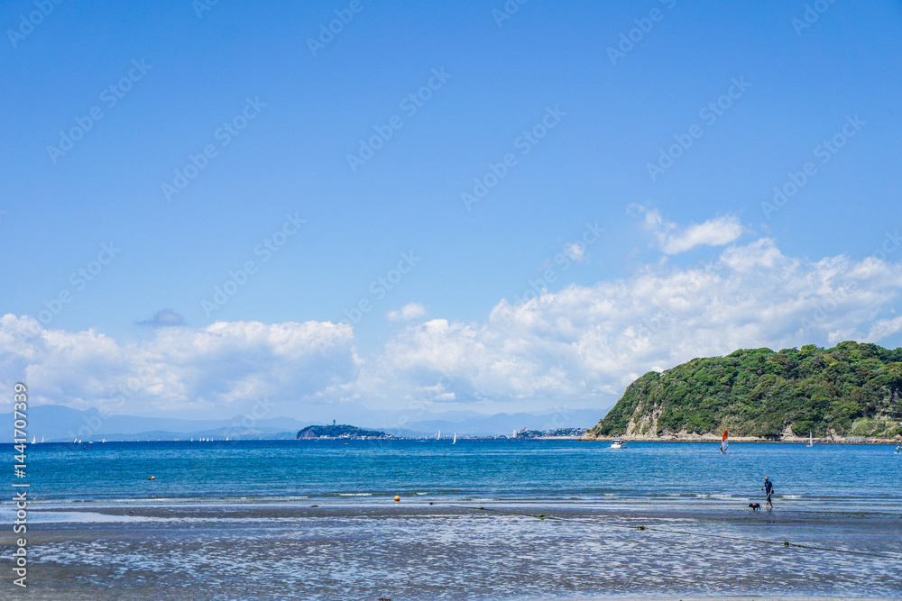 Fototapeta premium 神奈川県の逗子海岸