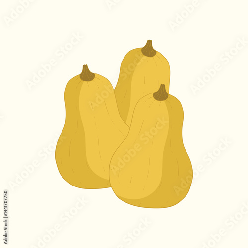 Butternut squash fruit flat design cartoon icon illustration