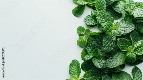 Obraz na płótnie Mint Whisper: Crisp sprigs of mint laid out on a pure white canvas w salonie