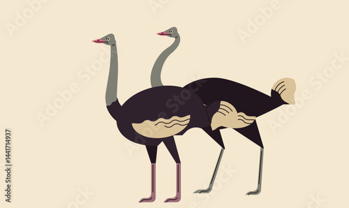 illustration of an ostrich couple standing together, symbolizing companionship and wildlife