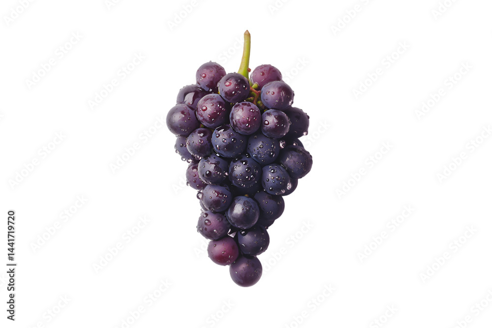 Fototapeta premium Dewy Dark Grapes Isolated on Black Background,