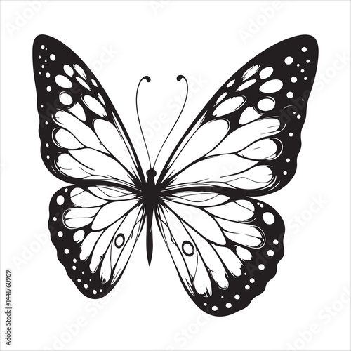 a clear butterfly  silhouette, vector, black color silhouette ,wite colour background 
