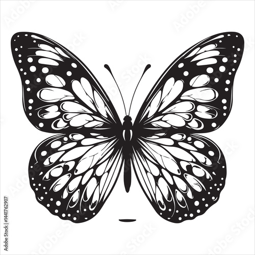 a clear butterfly  silhouette, vector, black color silhouette ,wite colour background 