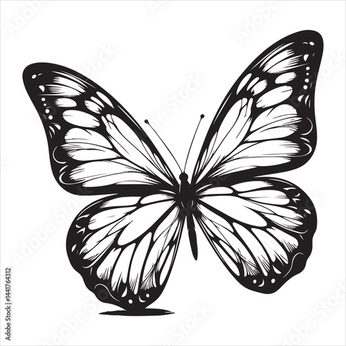 a clear butterfly  silhouette, vector, black color silhouette ,wite colour background 