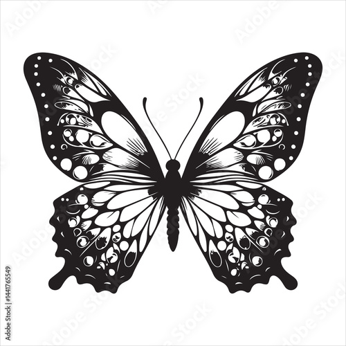 a clear butterfly  silhouette, vector, black color silhouette ,wite colour background 