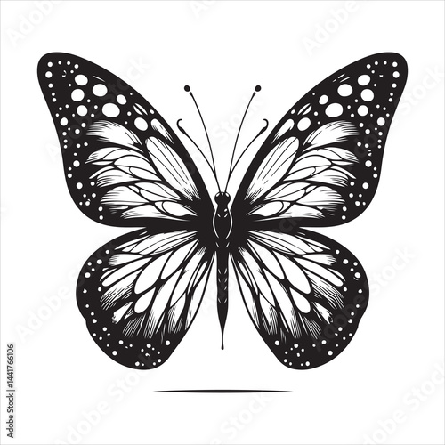 a clear butterfly  silhouette, vector, black color silhouette ,wite colour background 