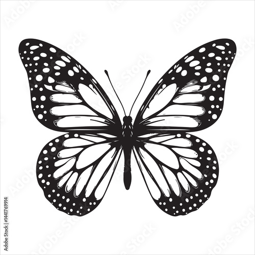 a clear butterfly  silhouette, vector, black color silhouette ,wite colour background 