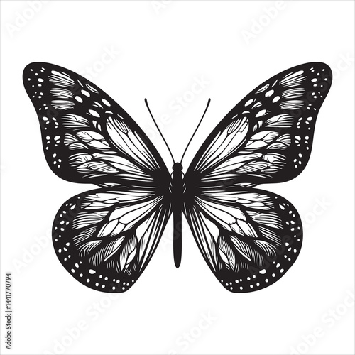 a clear butterfly  silhouette, vector, black color silhouette ,wite colour background 