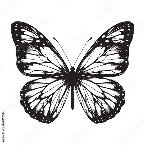 a clear butterfly  silhouette, vector, black color silhouette ,wite colour background 