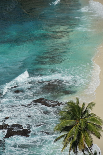 Tropical beach serenity waves crashing on shore coastal area nature photography overhead view tranquil escape