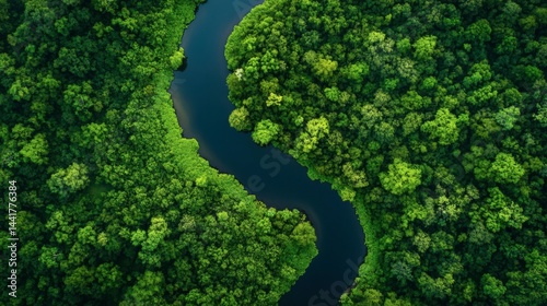 Ecology and environment concept. Green nature from above. Aerial view on river landscape. Healthy nature