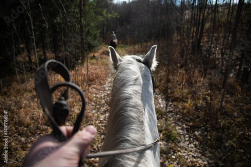 Riding Through Autumn Forest on a White Horse
