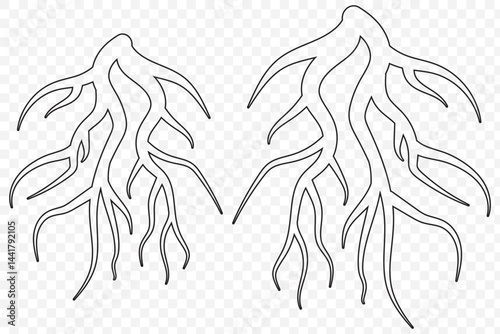 Tree root icon set. Tree root silhouette set on Transparent Background. EPS 10.