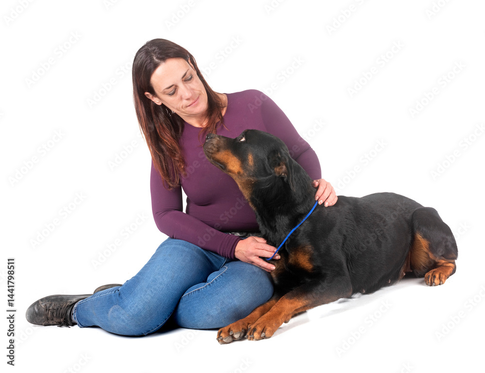 rottweiler in studio
