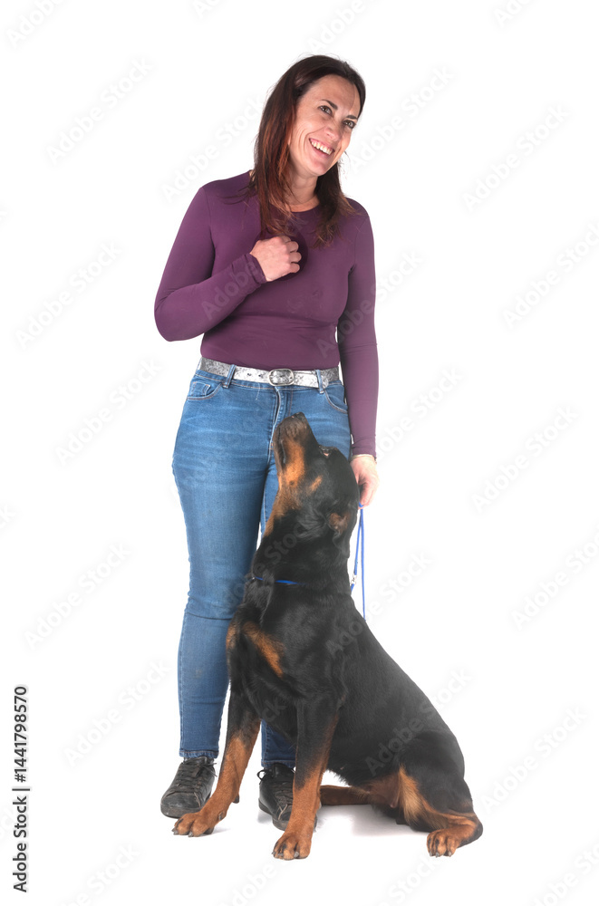 rottweiler in studio