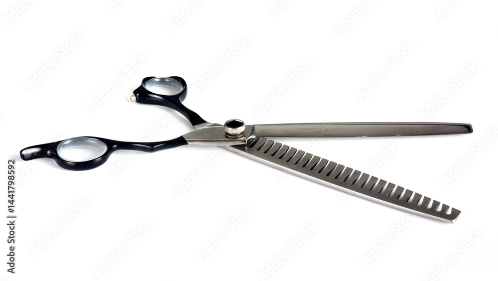 pair of scissors in studio
