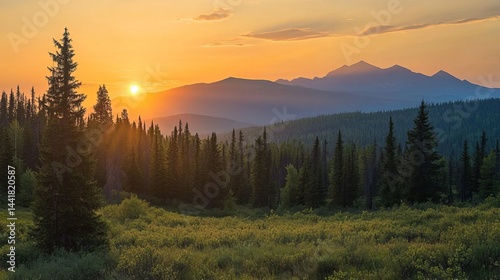 Fototapeta Naklejka Na Ścianę i Meble -  Majestic sunrise over golden mountains and lush evergreen forest landscape sky fir view calm pine