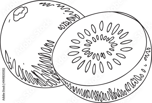 A modern vector illustration of a half eaten kiwi fruit depicted in black linear continuous line art style drawn with simple minimalist lines isolated on a white background
