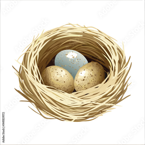 easter eggs in a nest vector