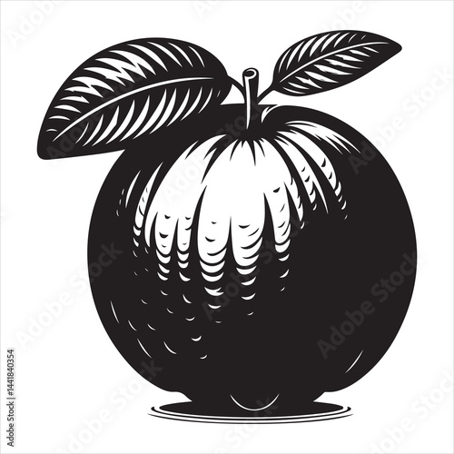 a fresh guava fruit vector silhouette, vector black color silhouette, isolated white background 