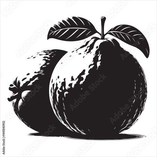 a fresh guava fruit vector silhouette, vector black color silhouette, isolated white background 