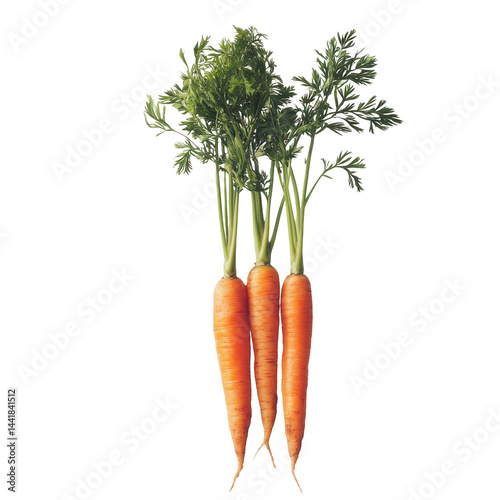 Close-up of a bunch of carrots with their tops.