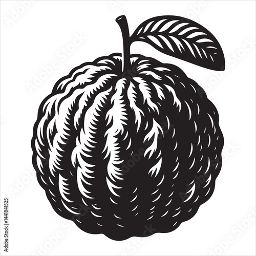 a fresh guava fruit vector silhouette, vector black color silhouette, isolated white background 