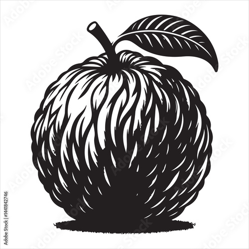 a fresh guava fruit vector silhouette, vector black color silhouette, isolated white background 