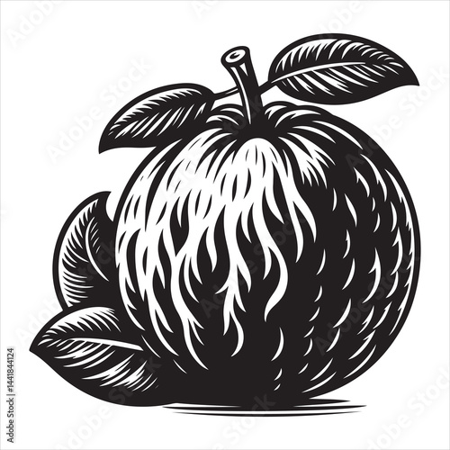 a fresh guava fruit vector silhouette, vector black color silhouette, isolated white background 