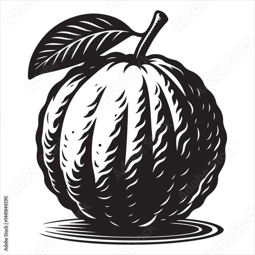 a fresh guava fruit vector silhouette, vector black color silhouette, isolated white background 