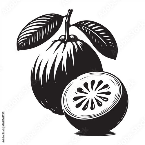 a fresh guava fruit vector silhouette, vector black color silhouette, isolated white background 