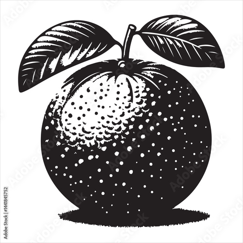 a fresh guava fruit vector silhouette, vector black color silhouette, isolated white background 