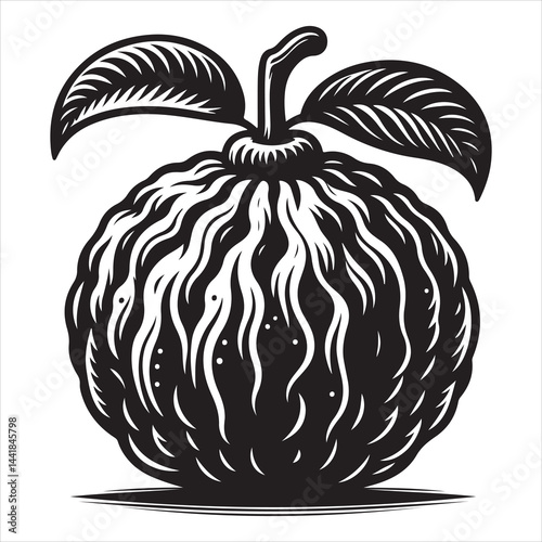 a fresh guava fruit vector silhouette, vector black color silhouette, isolated white background 