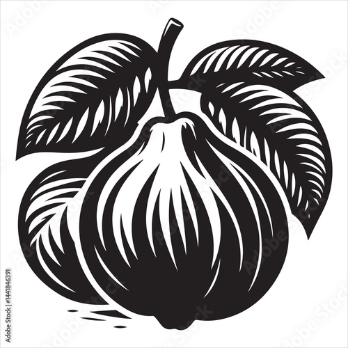 a fresh guava fruit vector silhouette, vector black color silhouette, isolated white background 