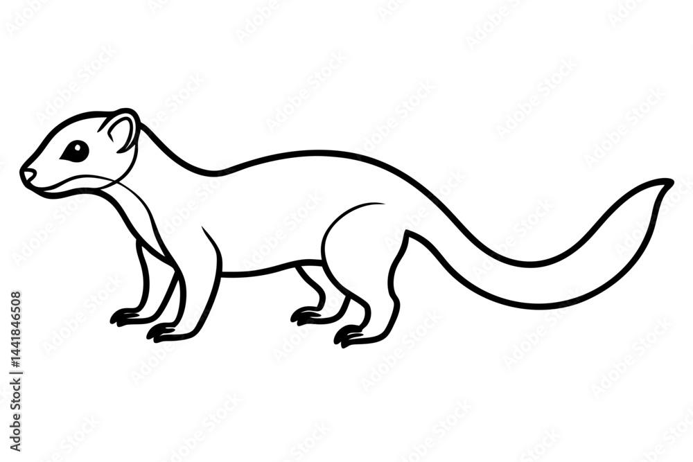 Elegant Mongoose Vector Sketch Elegant Mongoose Vector Sketch