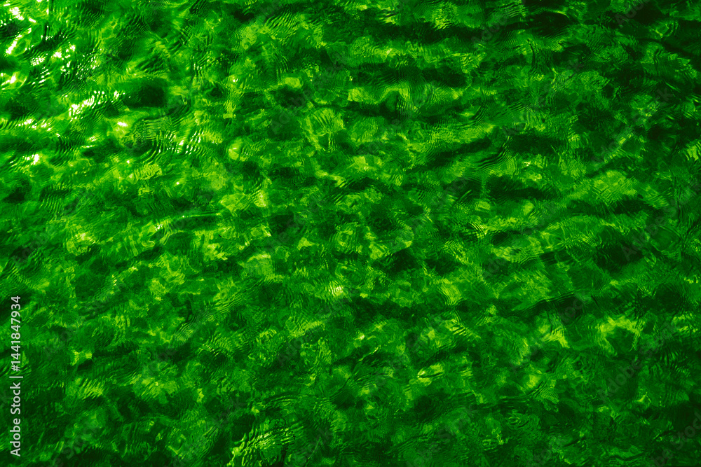 vivid green water, top view