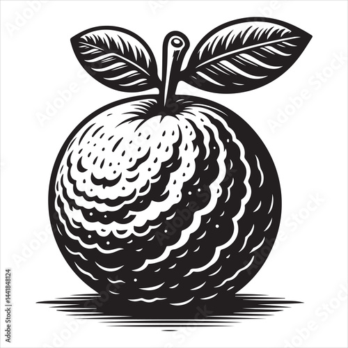 a fresh guava fruit vector silhouette, vector black color silhouette, isolated white background 