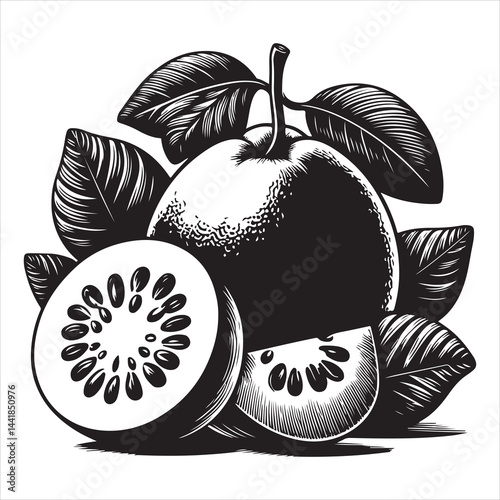 a fresh guava fruit vector silhouette, vector black color silhouette, isolated white background 