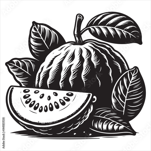 a fresh guava fruit vector silhouette, vector black color silhouette, isolated white background 