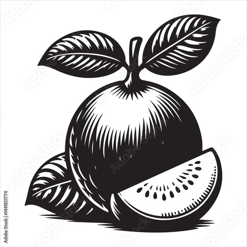 a fresh guava fruit vector silhouette, vector black color silhouette, isolated white background 