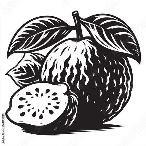 a fresh guava fruit vector silhouette, vector black color silhouette, isolated white background 