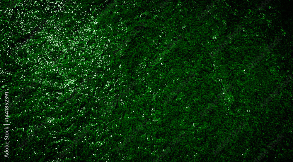 dark green water surface