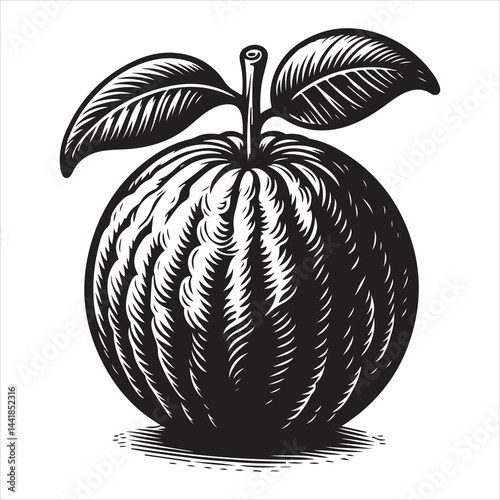 a fresh guava fruit vector silhouette, vector black color silhouette, isolated white background 